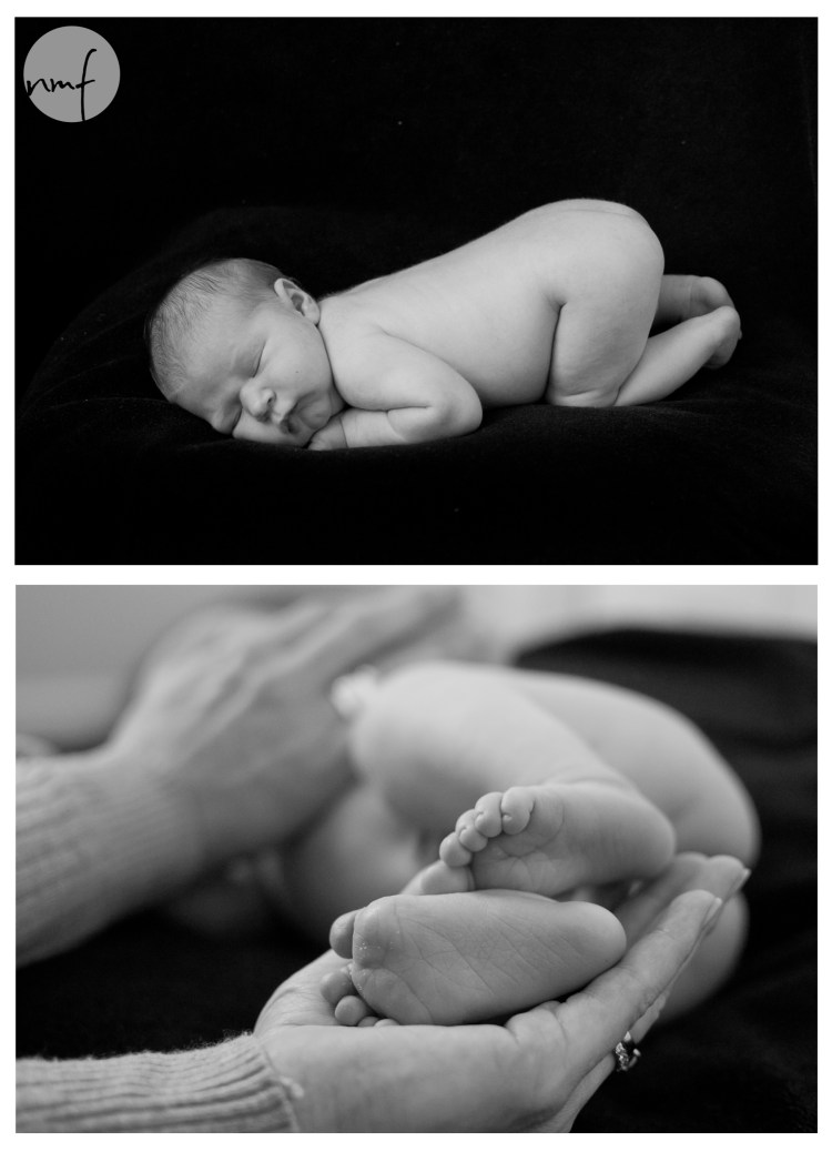 Baby Anderson.14 Blog 7