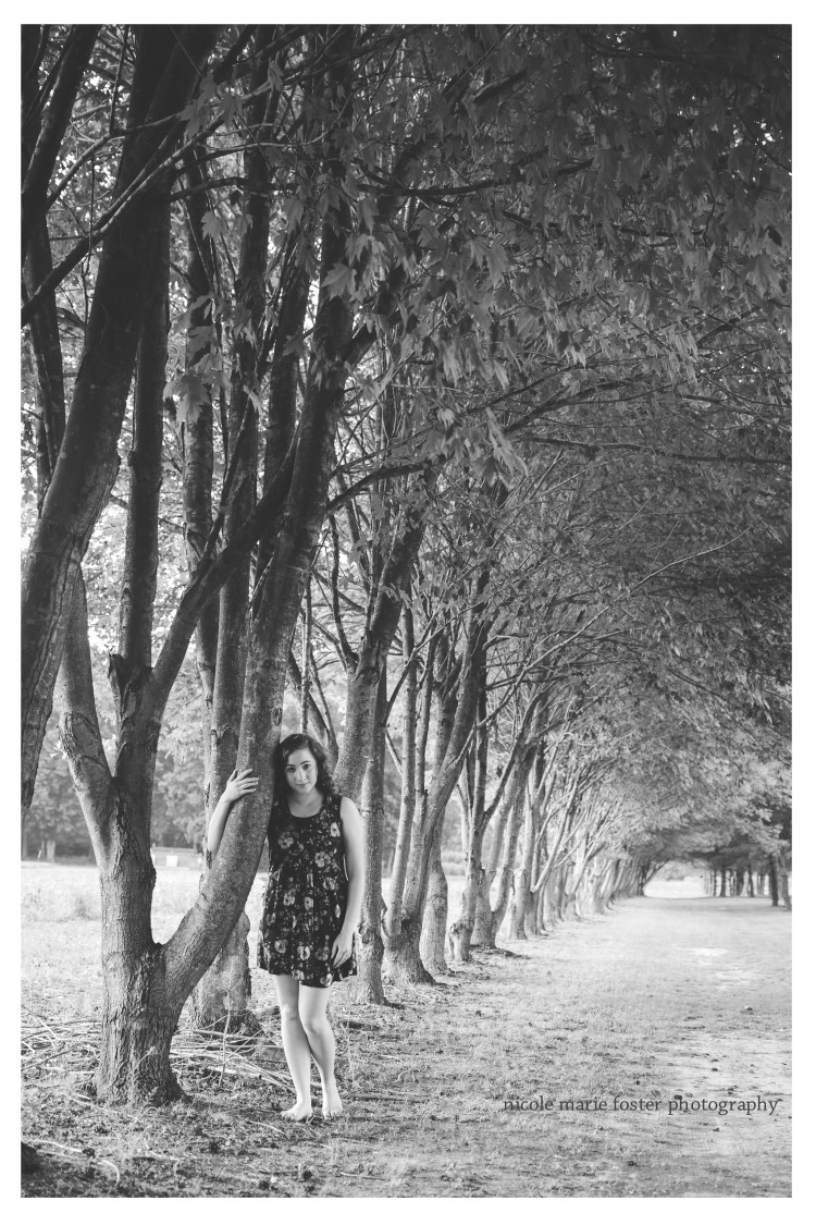 Anna Wolfe.16 Blog 5